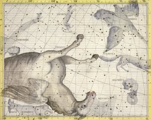 Constelación de Pegaso, lámina 25 de 